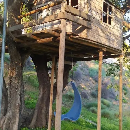The African House *